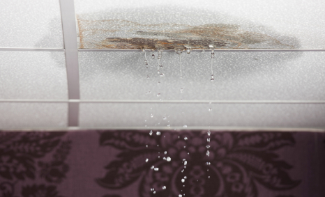 Plumber Gregory Hills